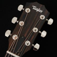 Taylor 212ce Plus 【48回無金利】【トリファイドスプルース】【細目ネック】【クロサワ町田店】_3