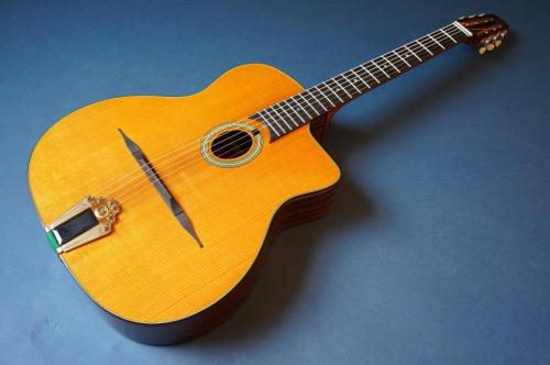 Stringphonic Basic Limited Plus