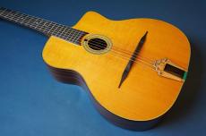 Stringphonic Basic Limited Plus_2