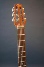 Stringphonic Basic Limited Plus_5