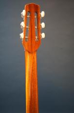 Stringphonic Basic Limited Plus_6