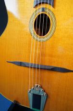 Stringphonic Basic Limited Plus_10