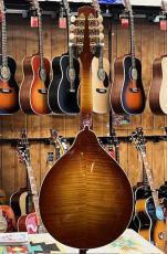 Kentucky KM-505 Artist A-Model Amberburst #25041121_6