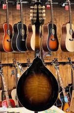 Kentucky KM-500 Artist A-Model Vintage Sunburst #25041125_6