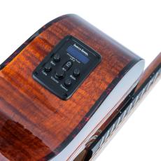 Washburn WCG12FCE《エレアコ》【オンラインストア限定】_9