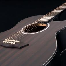 Washburn  DEEP FOREST series EBONY ACE《エレアコ》【オンラインストア限定】_3