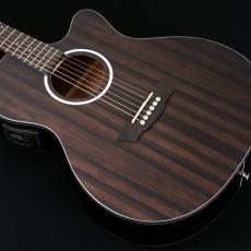 Washburn  DEEP FOREST series EBONY ACE《エレアコ》【オンラインストア限定】_4