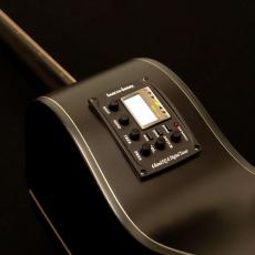 Washburn  DEEP FOREST series EBONY ACE《エレアコ》【オンラインストア限定】_6