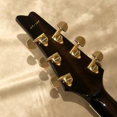 Greco GM-CST,Tiger-Maple_5
