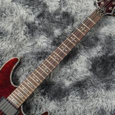 SCHECTER Hellraiser C-1 AD-C-1-HR BCH (Black Cherry) -Diamond Series-【2025年製】_5