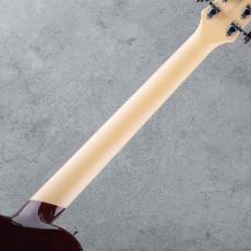 D'Angelico Premier Atlantic Sky Blue Top Natural Mahogany Back and Sides 2021_7
