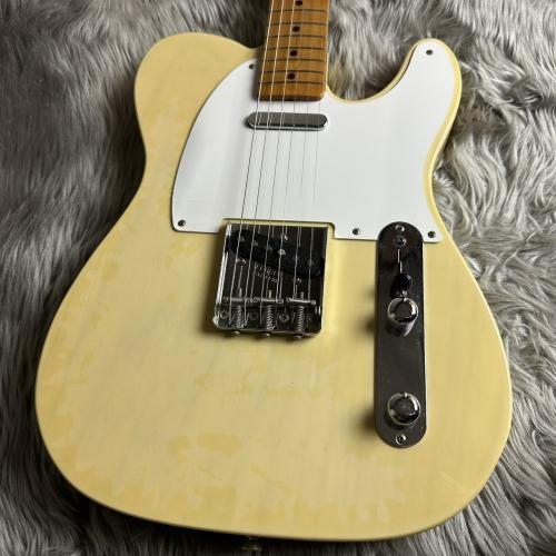 Fender Classic Series '50s Telecaster 【現物画像】