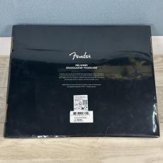 Fender Pre-Wired Strat Pickguard Tex-Mex SSS Parchment_2