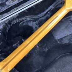 Fender 1979 25th Anniversary Stratocaster_8