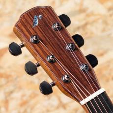 Morris SJ-101 Custom_8