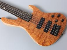 Sadowsky MetroLine 24-Fret Modern Bass 5st / ML24 MS5 2025 LTD【3.72kg】_3