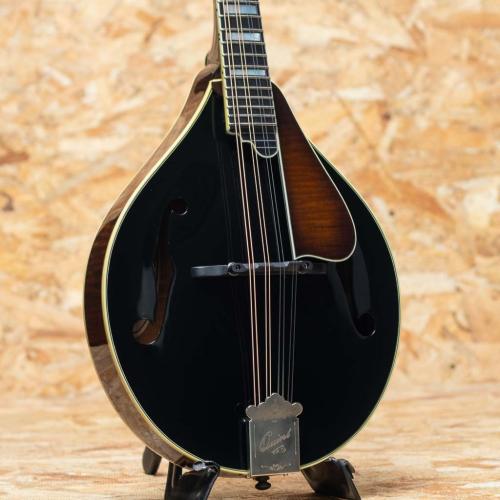 Quint QT-A5T Torrefied Custom