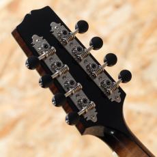 Quint QT-A5T Torrefied Custom_9