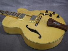 Ibanez AF-105NT_3