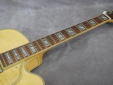Ibanez AF-105NT_7