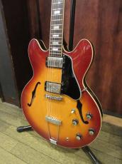 Archtop Tribute AT135 TTP_2