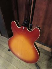 Archtop Tribute AT135 TTP_8