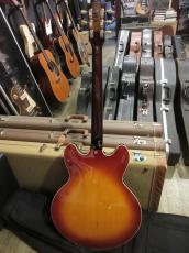 Archtop Tribute AT135 TTP_11