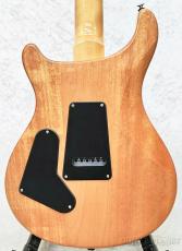 Paul Reed Smith [PRS] SE Custom 24 -Blue Matteo-【2025年製】【CTI H017129】【3.45kg】_2