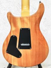 Paul Reed Smith [PRS] 【新色】SE Custom 24 -Sapphire Fade- 【2024年製】【CTI G063766】【3.41kg】_2