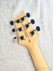 Paul Reed Smith [PRS] 【新色】SE Custom 24 -Sapphire Fade- 【2024年製】【CTI G008544】【3.37kg】_10