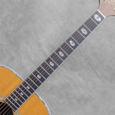 Takamine TSS-20 / 1996_7