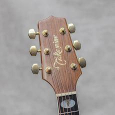 Takamine TSS-20 / 1996_9