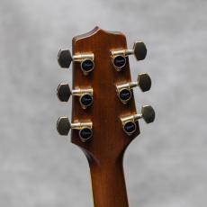 Takamine TSS-20 / 1996_10
