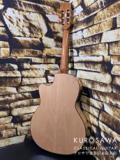 Orpheus Valley Guitars オルフェウス・ヴァレー・ギターズ Model:Rosa Luna【エレガット】【日本総本店2F在庫品】_4