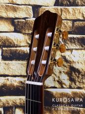 Orpheus Valley Guitars オルフェウス・ヴァレー・ギターズ Model:Rosa Luna【エレガット】【日本総本店2F在庫品】_8