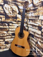 ESTEVE エステベ Model:ELEC Spr オール単板 エレガット 【日本総本店2F 在庫品】