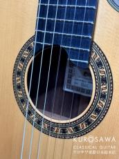 ESTEVE エステベ Model:ELEC Spr オール単板 エレガット 【日本総本店2F 在庫品】_3