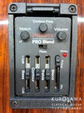 ESTEVE エステベ Model:ELEC Spr オール単板 エレガット 【日本総本店2F 在庫品】_10