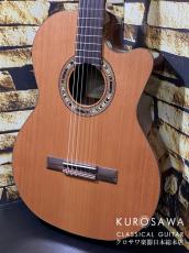 Orpheus Valley Guitars オルフェウス・ヴァレー・ギターズ Model:Verea【エレガット】【日本総本店2F在庫品】_2