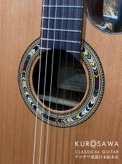Orpheus Valley Guitars オルフェウス・ヴァレー・ギターズ Model:Verea【エレガット】【日本総本店2F在庫品】_3