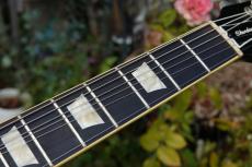 Greco EG-900SB_6