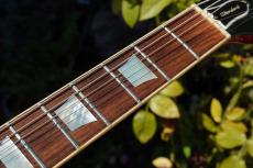 Greco EG-900CS_10
