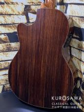 Orpheus Valley Guitars オルフェウス・ヴァレー・ギターズ Model:Verea【エレガット】【日本総本店2F在庫品】_5