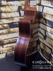 Orpheus Valley Guitars オルフェウス・ヴァレー・ギターズ Model:Verea【エレガット】【日本総本店2F在庫品】_6