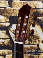 Orpheus Valley Guitars オルフェウス・ヴァレー・ギターズ Model:Verea【エレガット】【日本総本店2F在庫品】_8