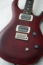 Paul Reed Smith [PRS] SE CE 24 Black Cherry 【ボルトオンネック】【3.47kg】【2026年製】_2