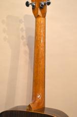 Fujikami Guitar JWD_10