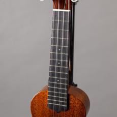 Luna LS-UB Luna Bird_5