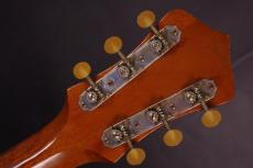 RECORDING KING Model M-2 Archtop_5
