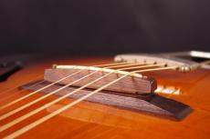 RECORDING KING Model M-2 Archtop_7